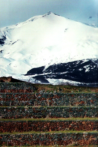 Etna view